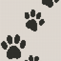 paw prints.png