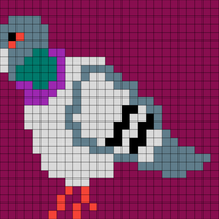 Copy of pigeon
