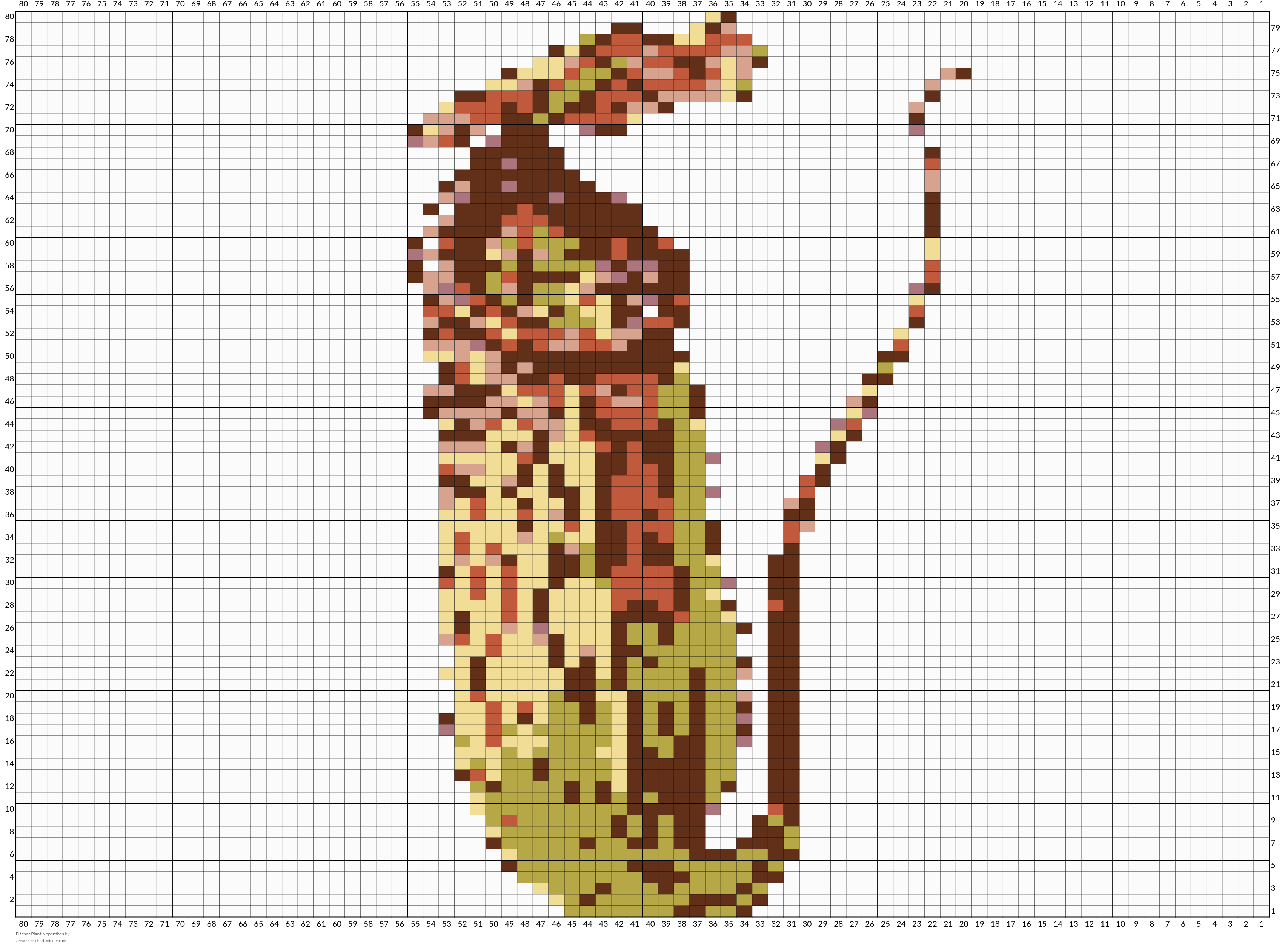 Pitcher Plant Nepenthes