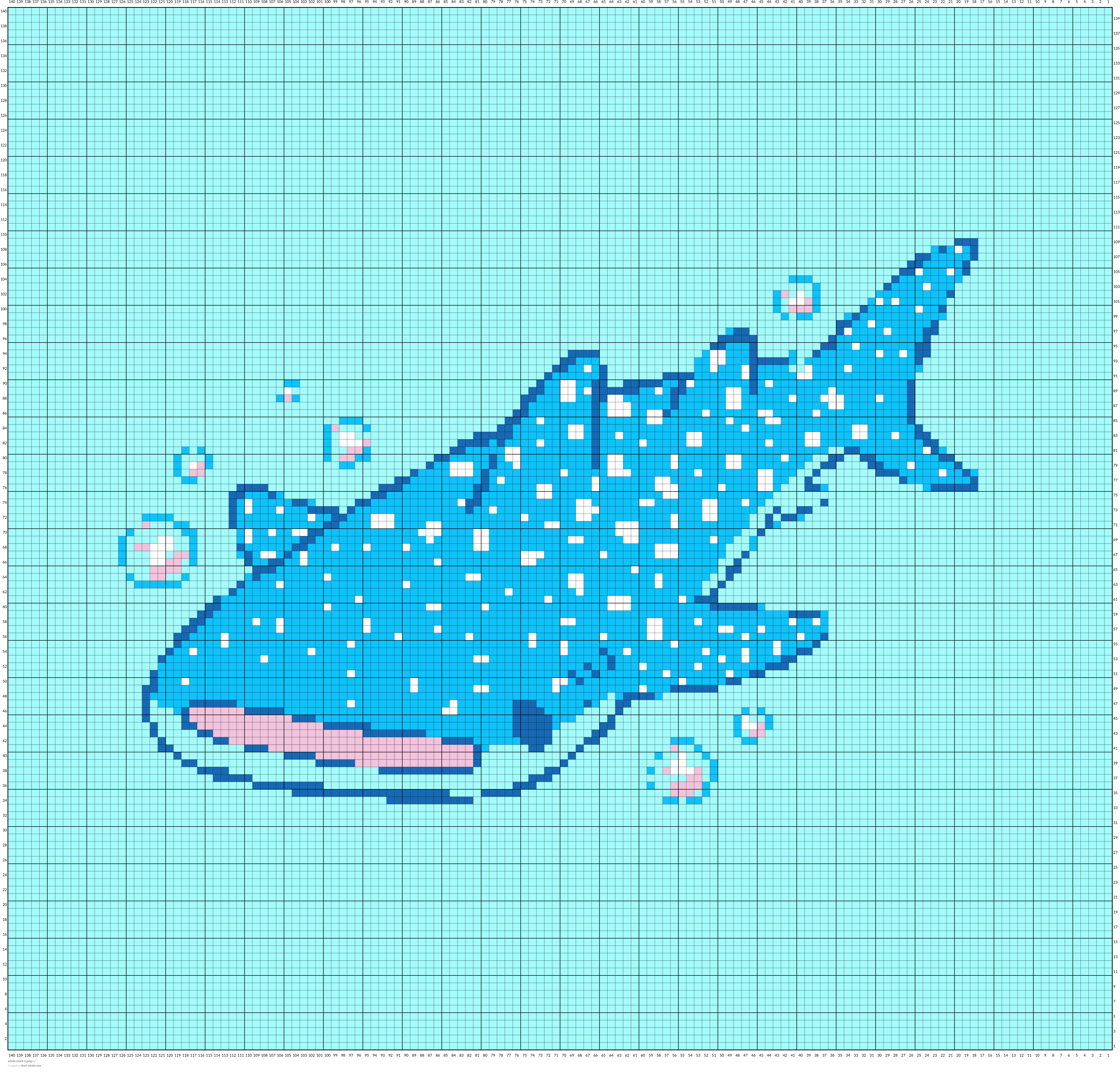 whale shark 2.jpeg