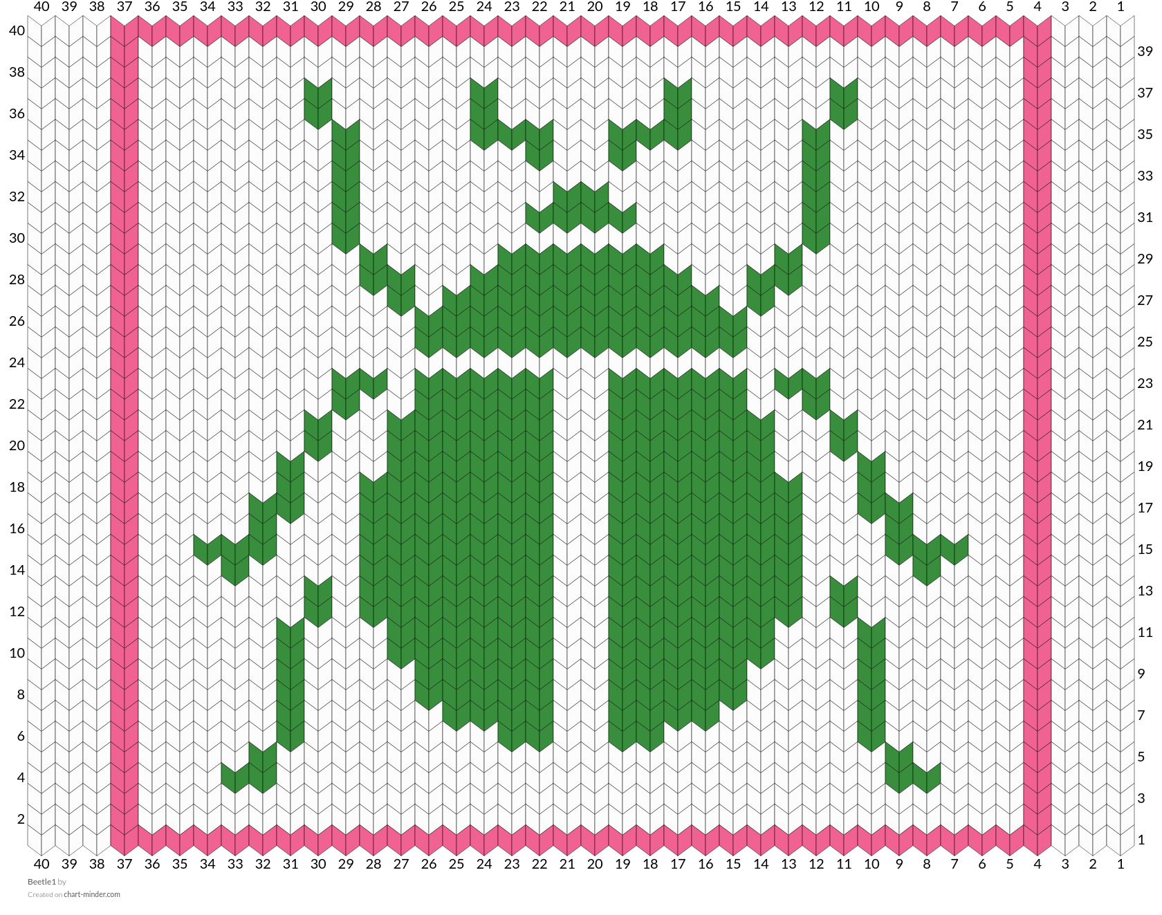 Beetle1