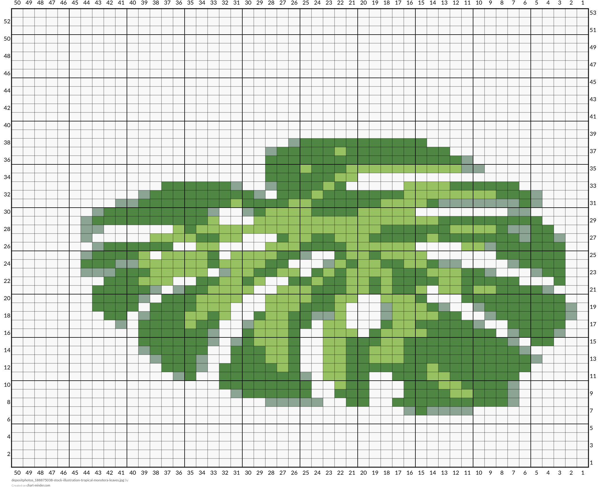 depositphotos_188875038-stock-illustration-tropical-monstera-leaves.jpg
