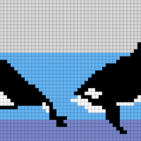 two orcas
