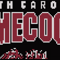 south_carolina_gamecocks_logo_alt_on_dark_2008_sportslogosnet-5545.png