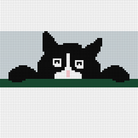 Copy of cat face & paws.jpg