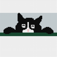 Copy of cat face & paws.jpg