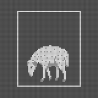 Copy of Copy of Medieval Sheep