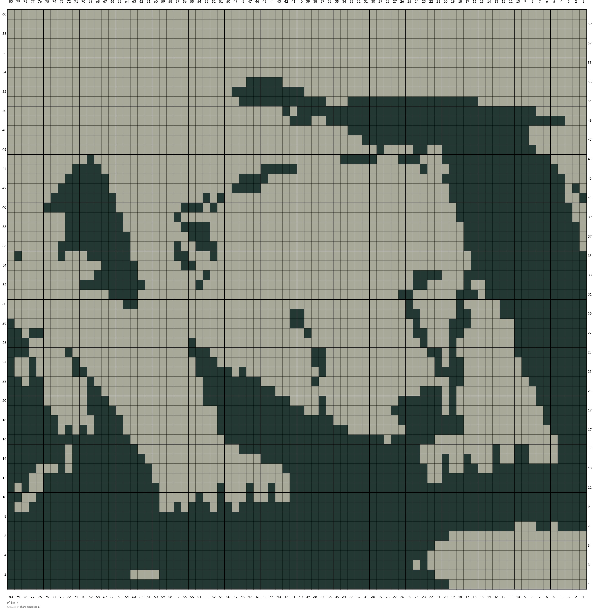 p5.jpg