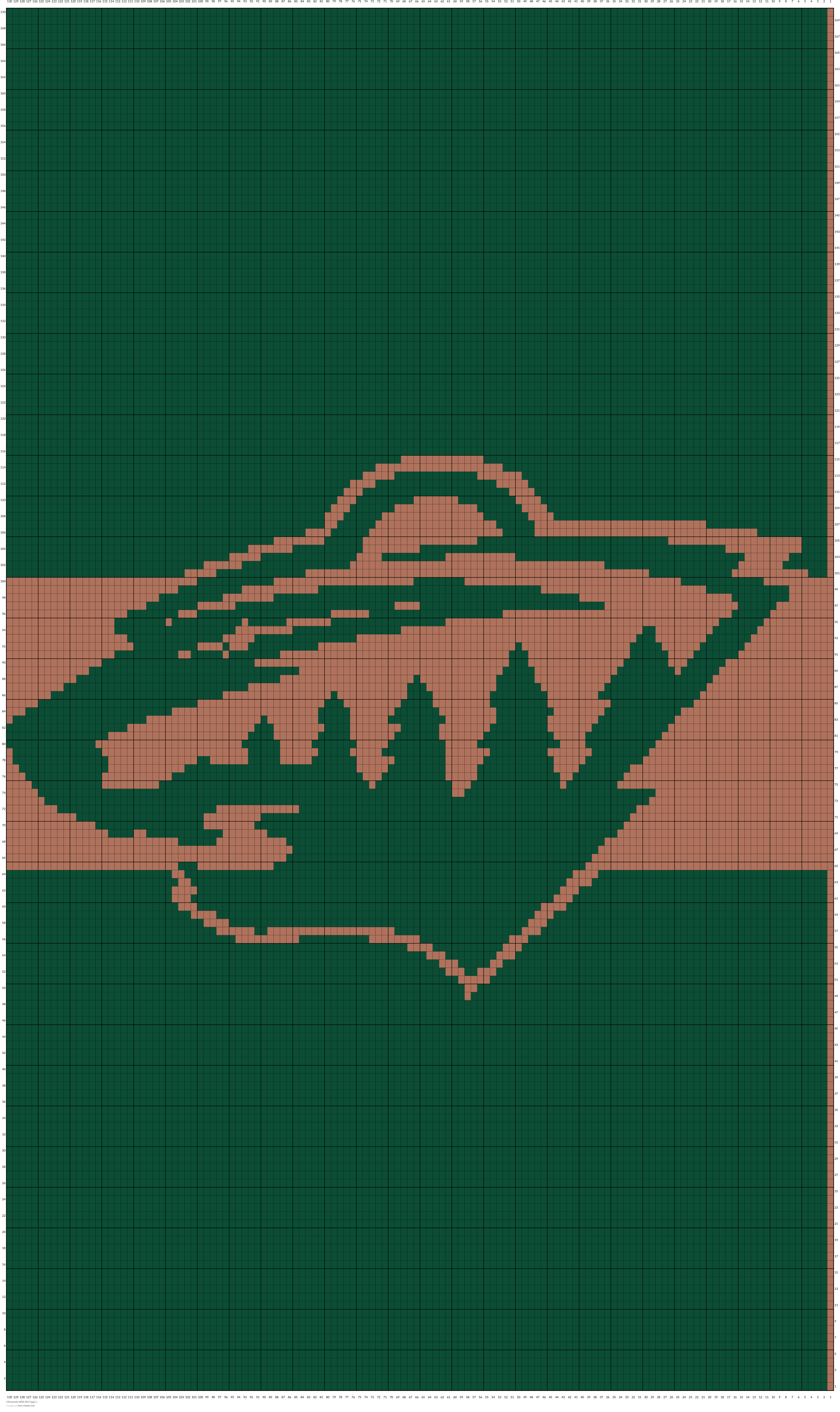 Minnesota Wild 2017.jpg