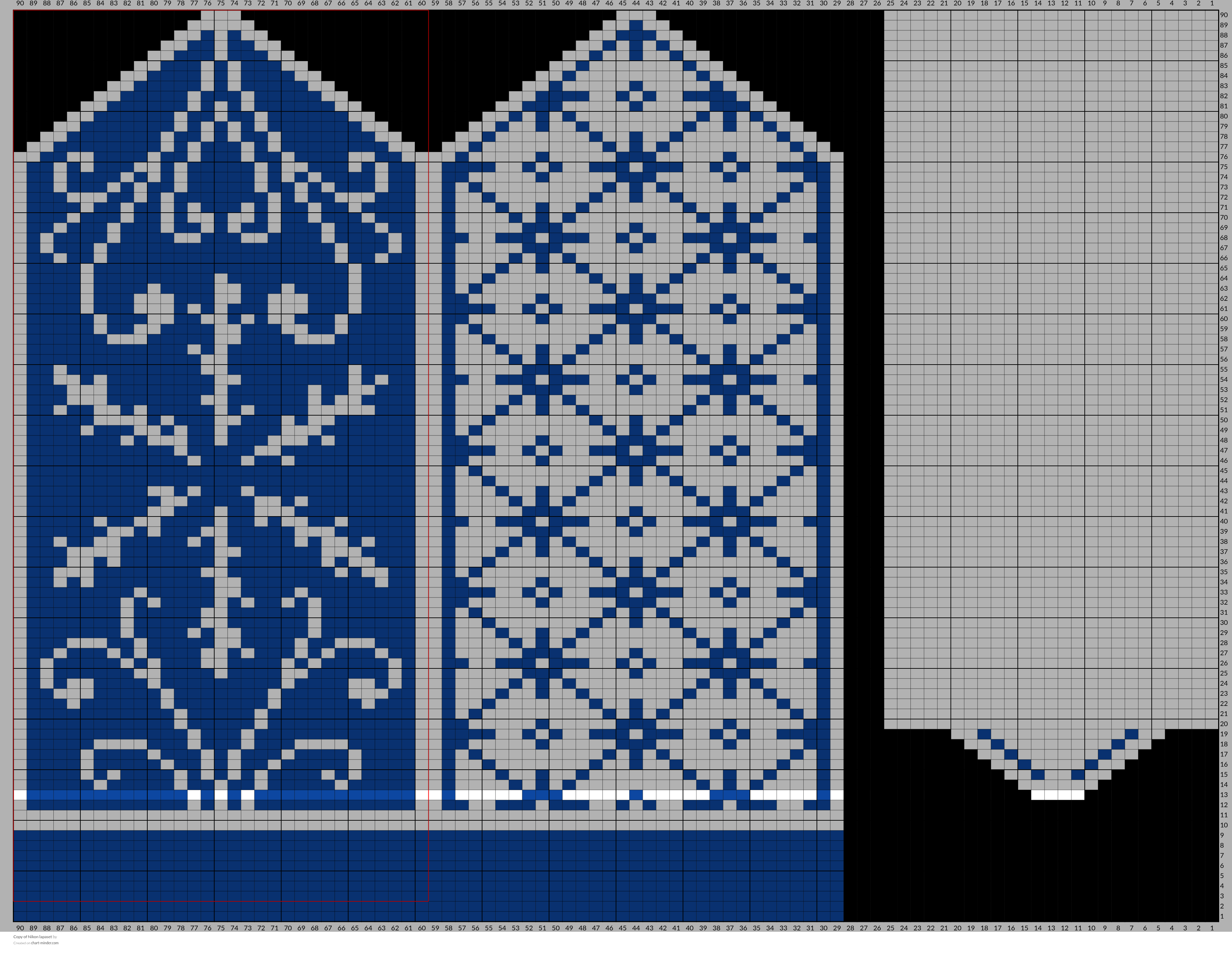 Copy of Nikon lapaset