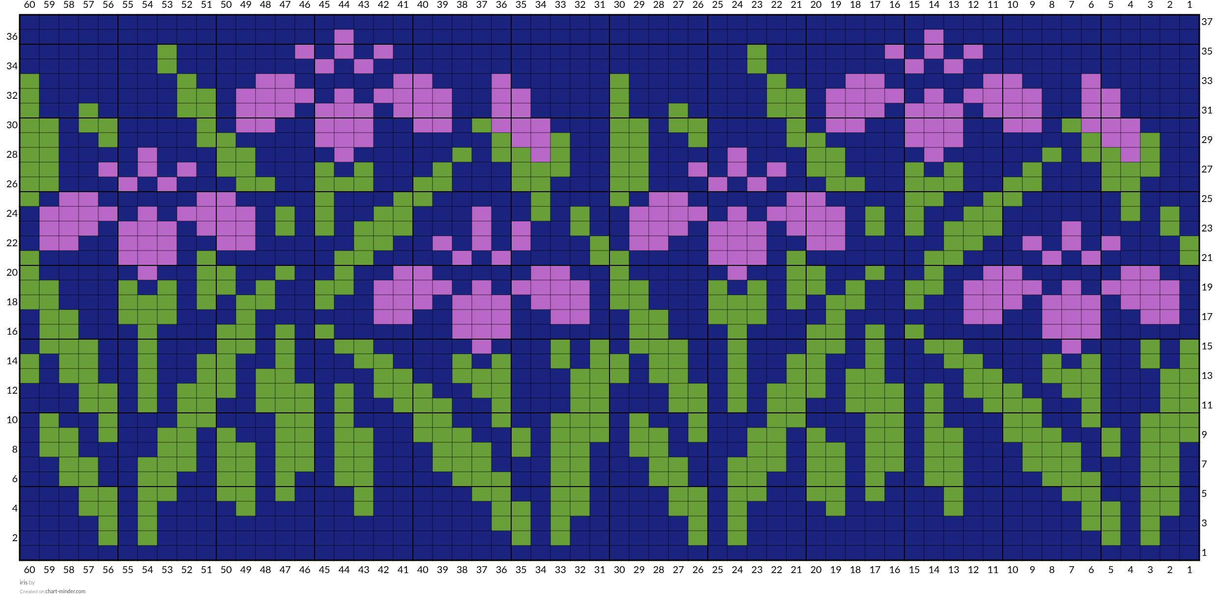 iris