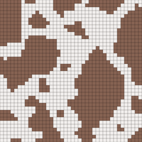 WhatsApp Image 2026-01-09 at 9.10.55 PM.jpeg