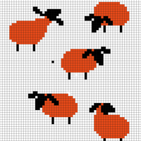 sheep