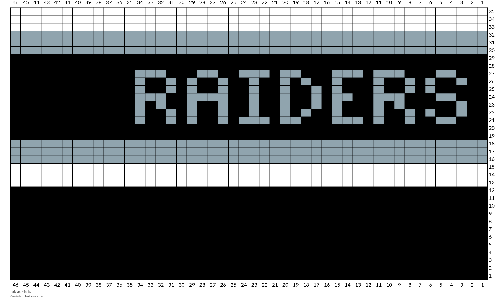 Raiders Mini