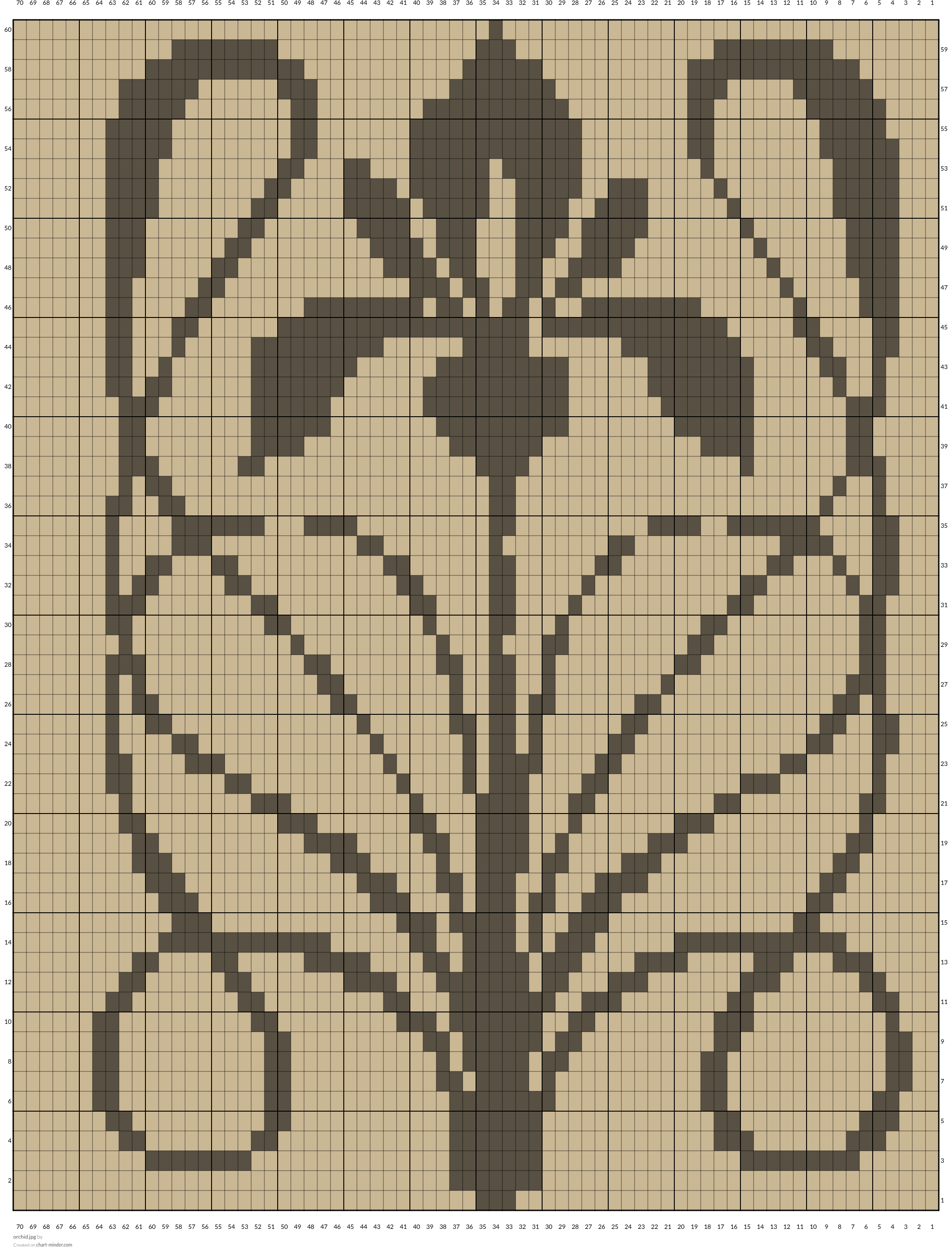 orchid.jpg