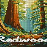 Redwood National Park