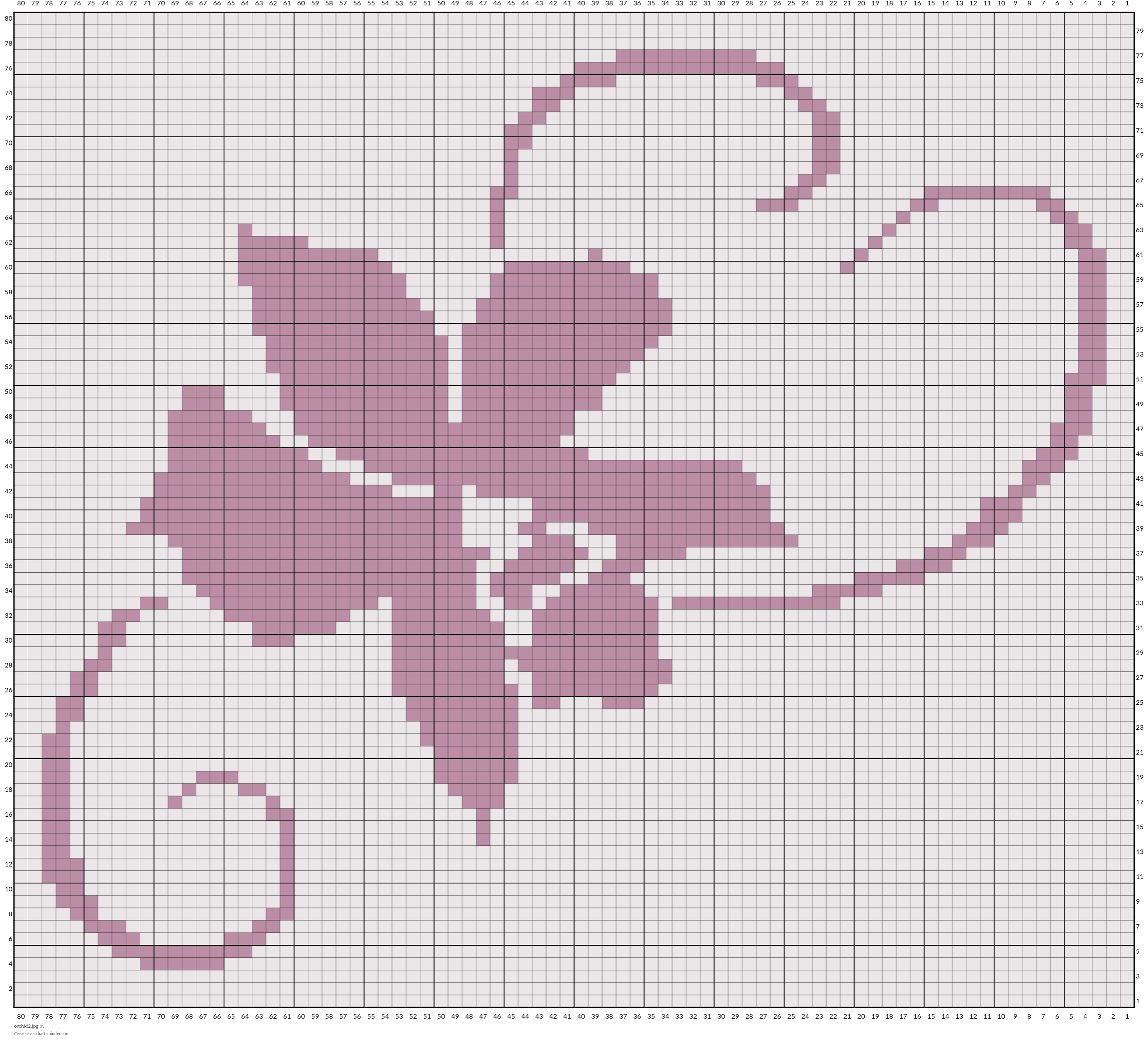 orchid2.jpg