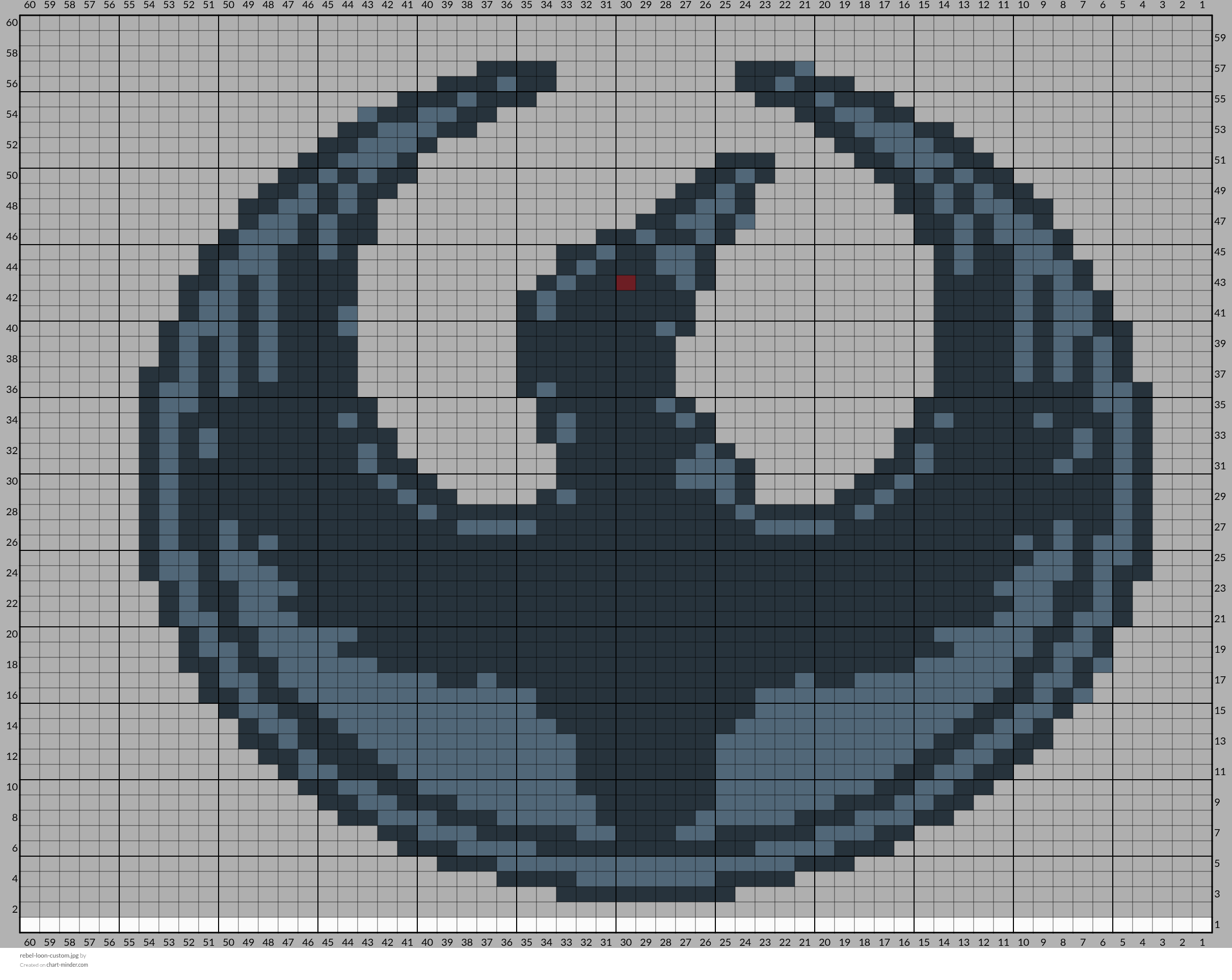 rebel-loon-custom.jpg