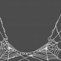 Copy of Spider web 