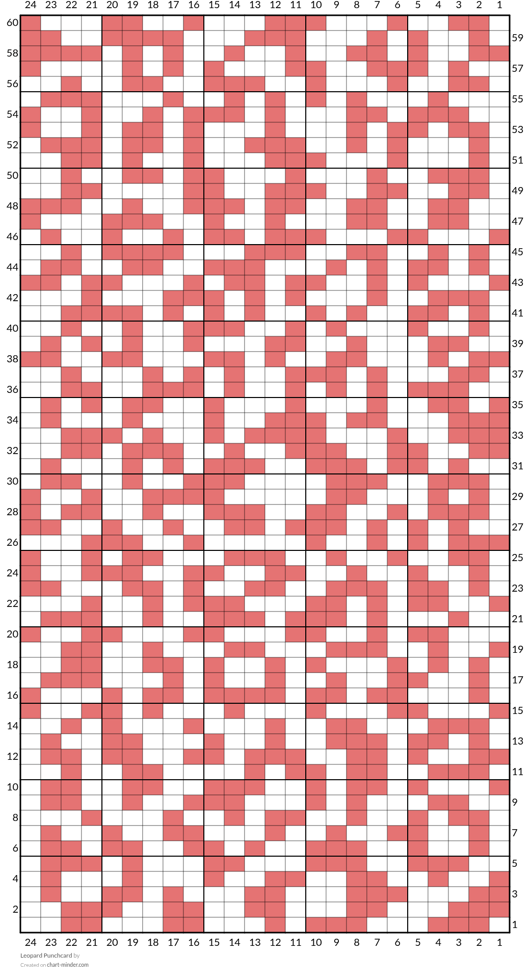 Leopard Punchcard