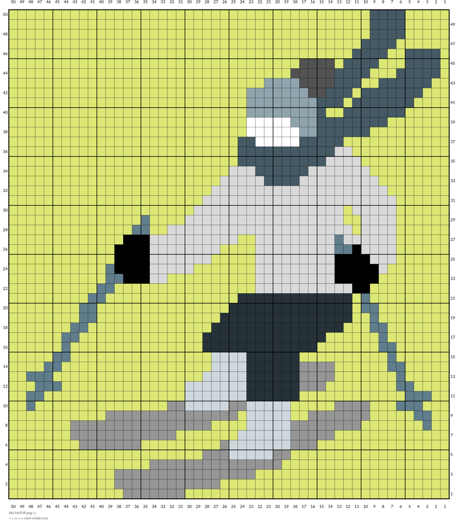 SKI MOTIF.png
