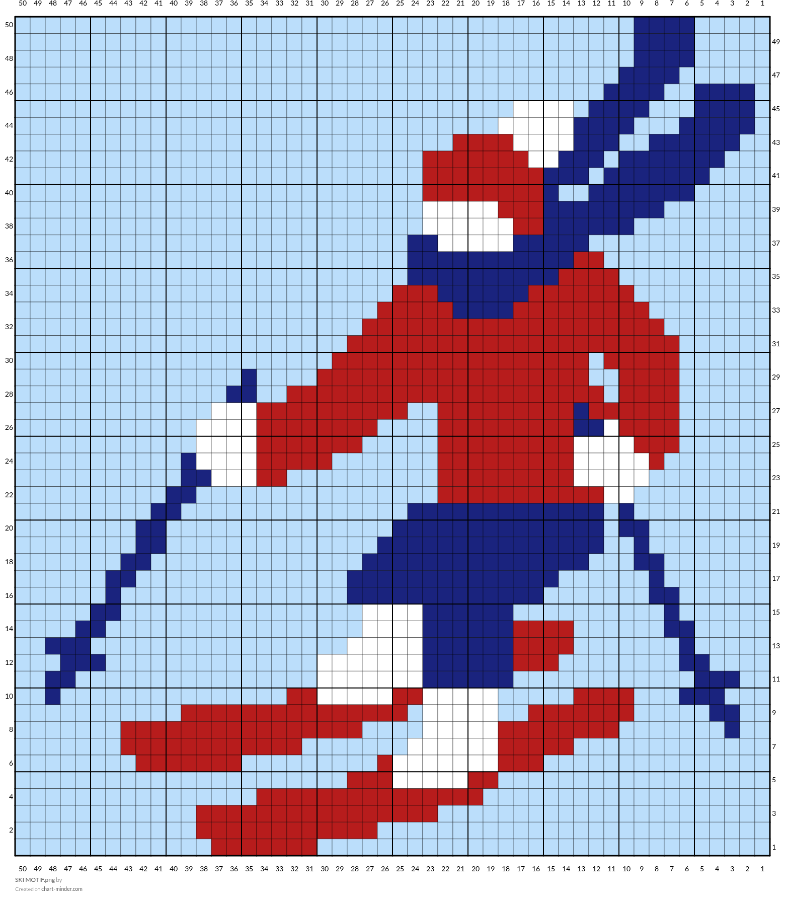 SKI MOTIF.png
