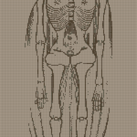 v0_web.jpg