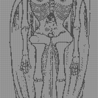 skeleton.jpg