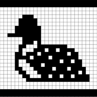 Copy of Loon