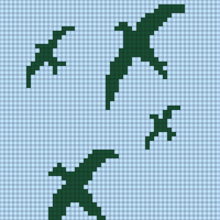 birds in the sky