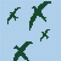 birds in the sky
