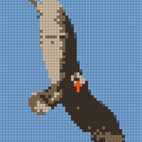 Screenshot 2026-01-28 at 10.09.23 AM.png