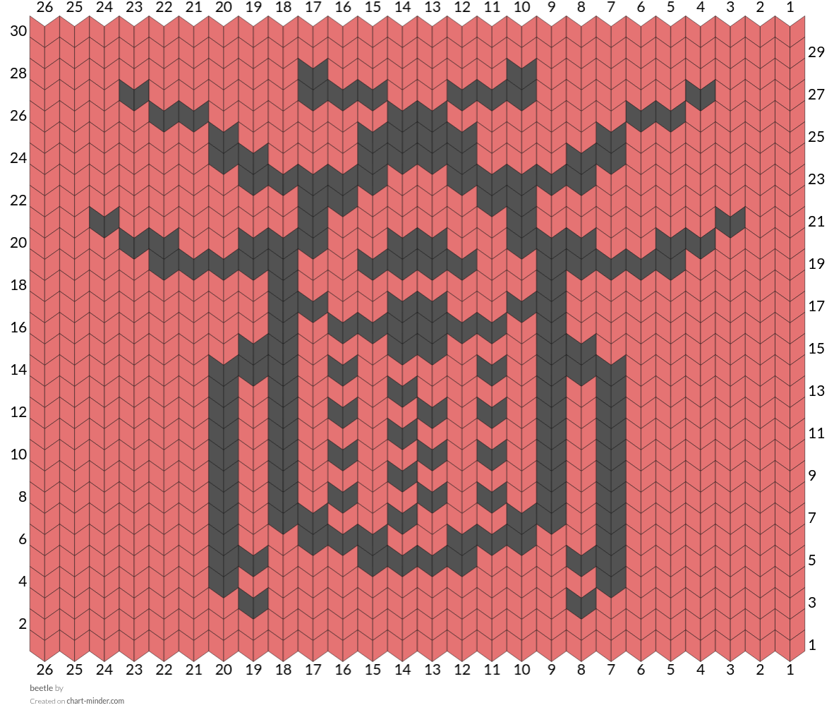 beetle