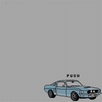 Shelby Mustang