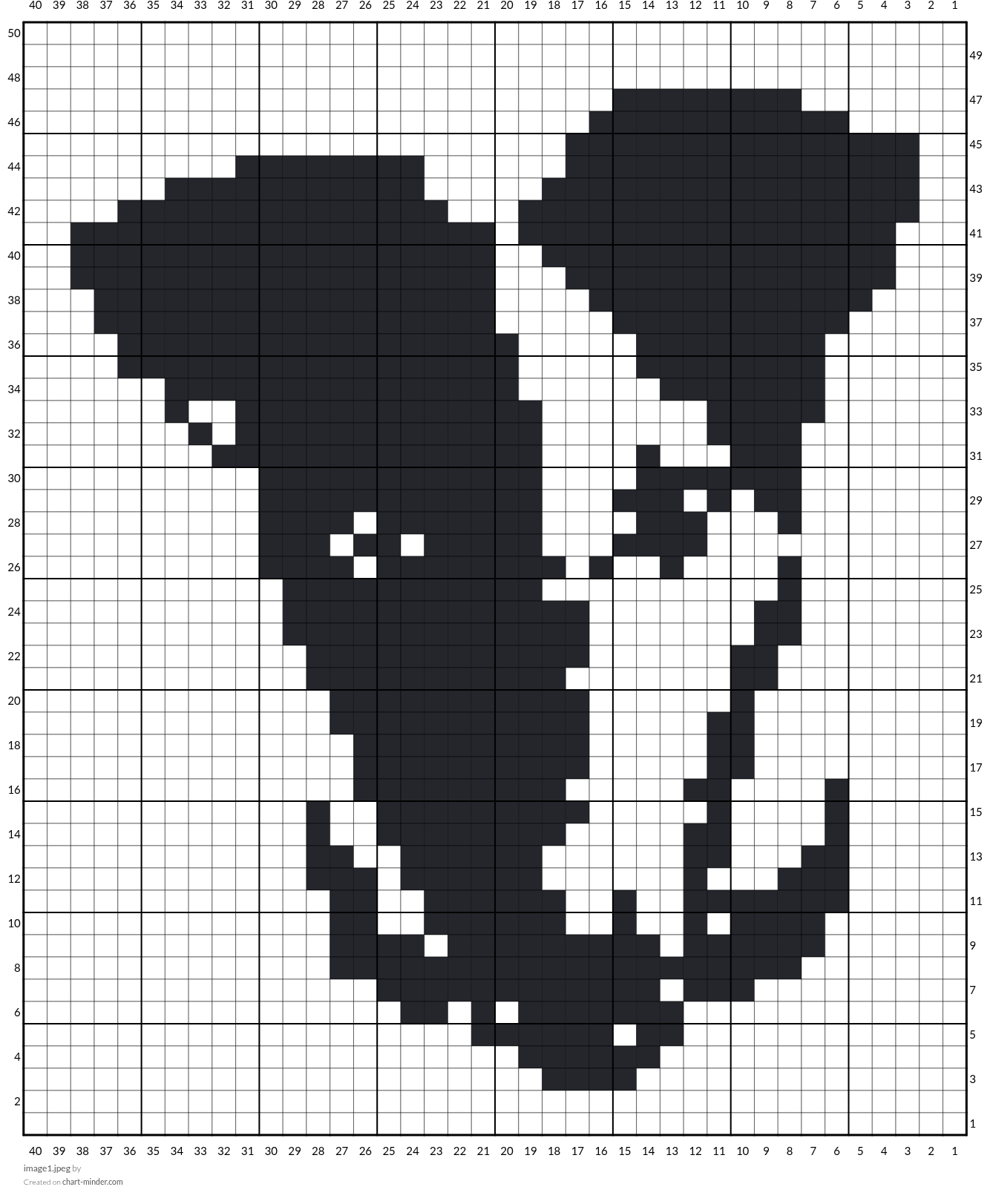 image1.jpeg