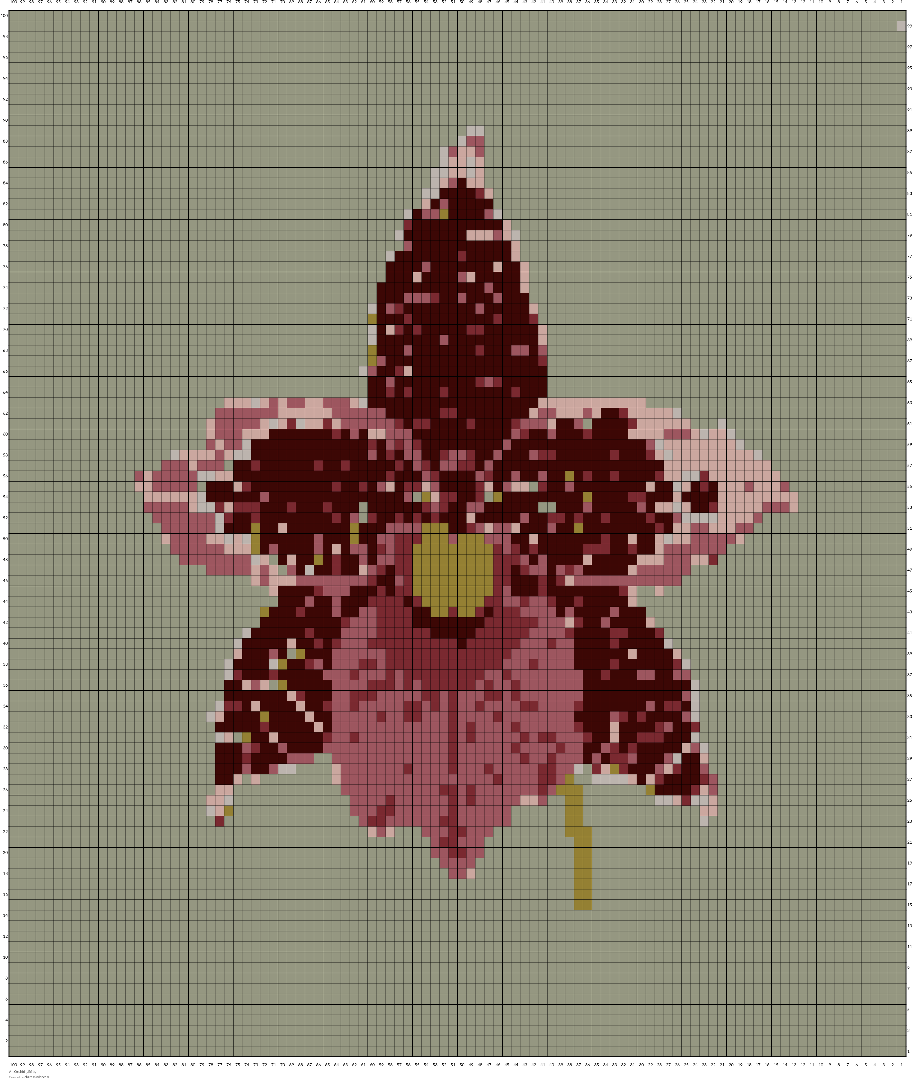 An Orchid _.jfif