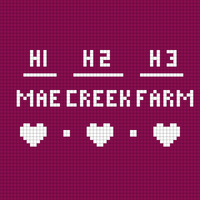Mae Creek 2.0