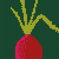 onion