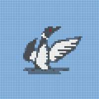 Loon Knit practice .jpg