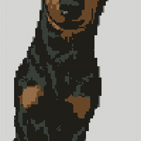 1000011109.png