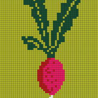 radish