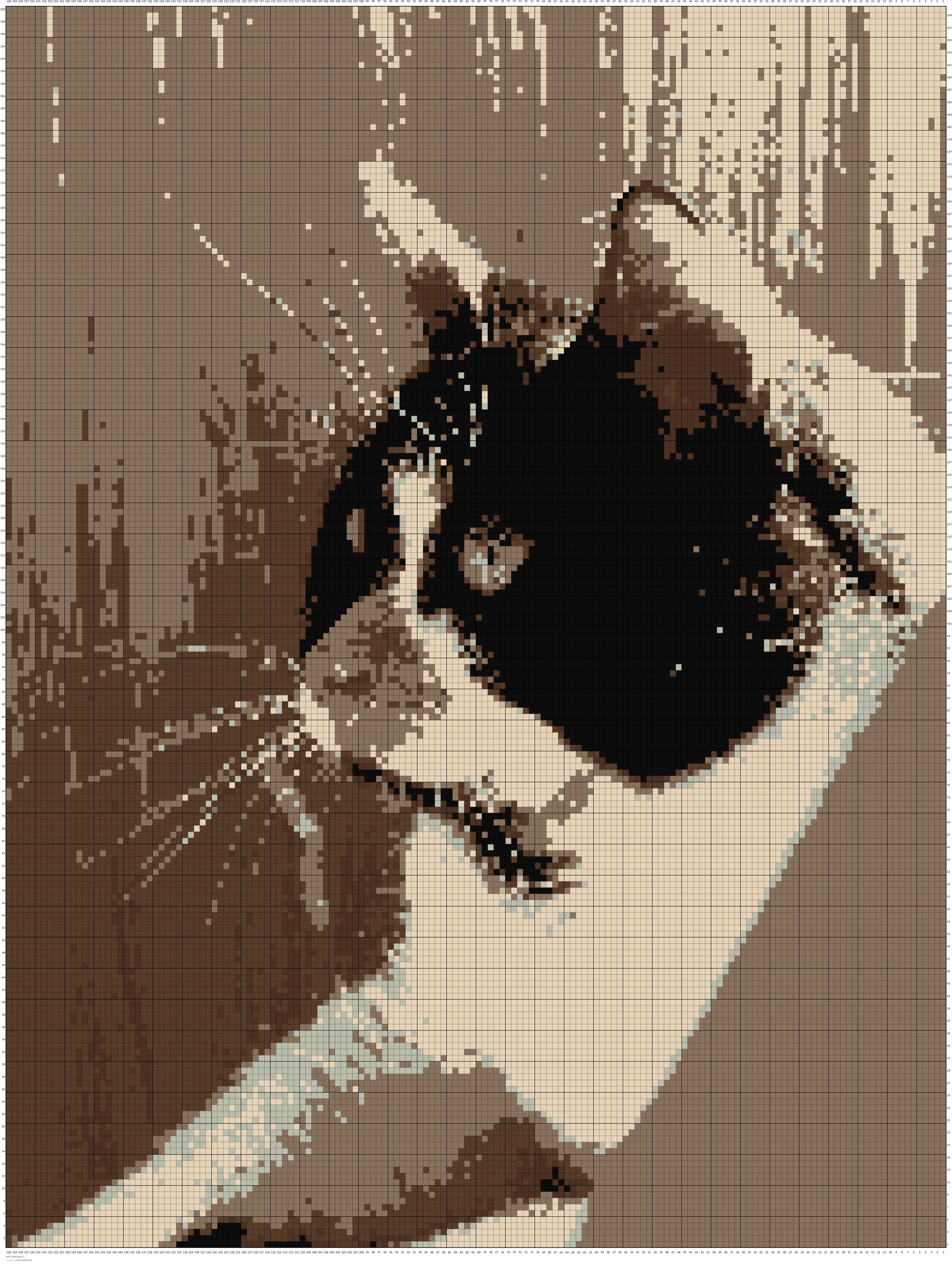 IMG_2880.jpeg