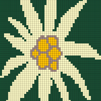 edelweiss