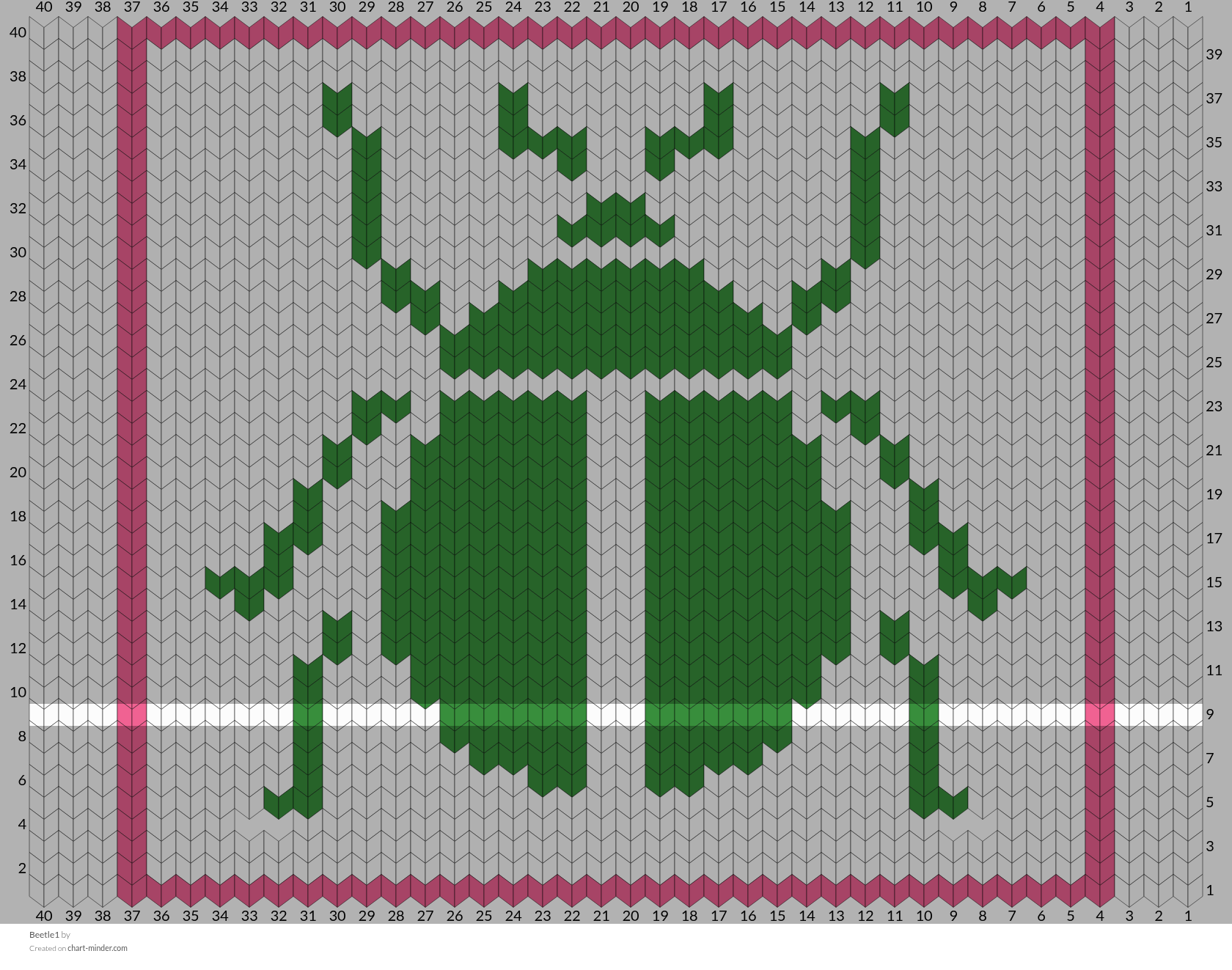 Beetle1