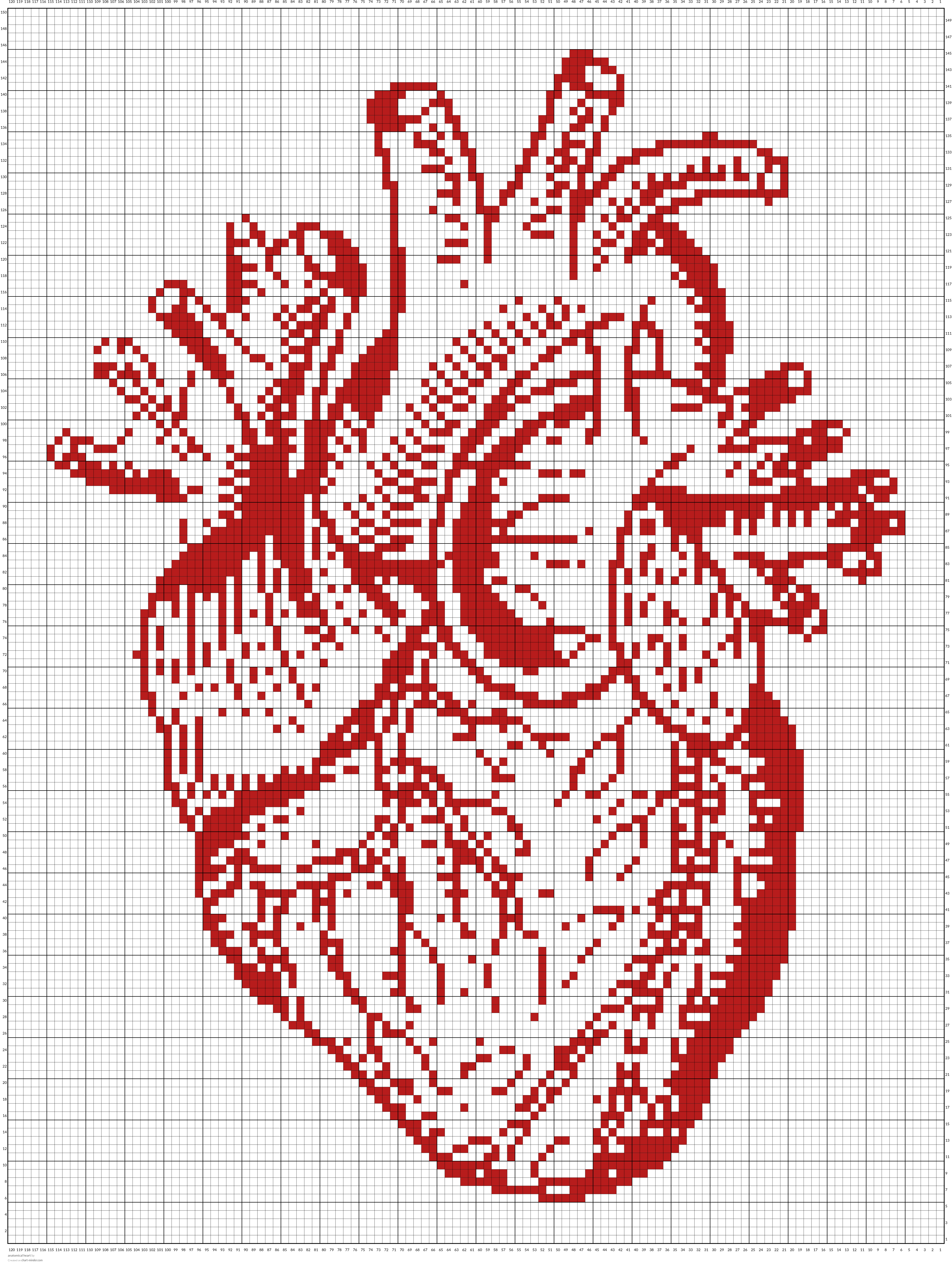 anatomical heart