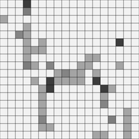 Östsibirisk lajka  Royal Canin SE.png