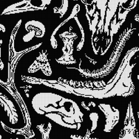 Photo Feb 15 2026, 9 04 40 PM.png