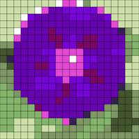 Copy of 822DF4D0-64C2-448E-ACCE-6E6502C713C5.jpeg