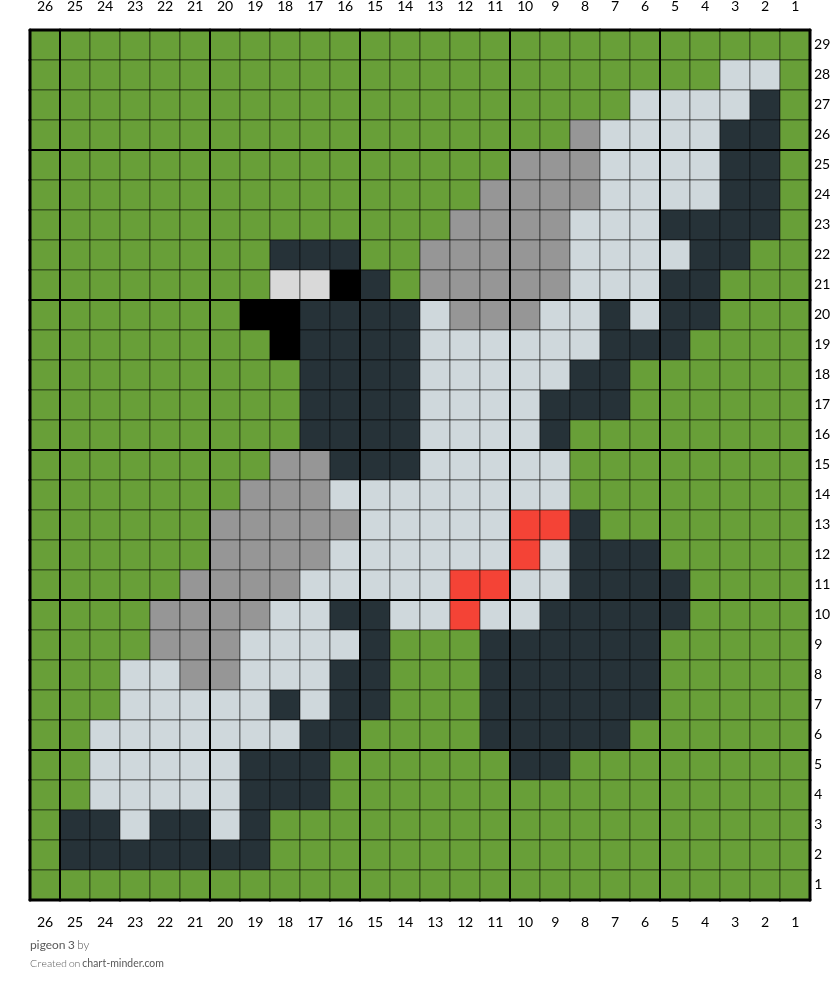 pigeon 3