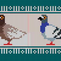 pigeon1